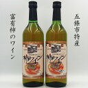 【ふるさと納税】柿ワイン720ml 2本セット | お酒 おさけ オサケ 山本本家 柿ワイン 720MLワイン 富有柿 引越し ギフト プレゼント 還暦祝い 退職祝い 結婚祝い 新築祝い 内祝い 誕生日 お礼 出産祝い お返し 誕生祝い 記念日 帰省 手土産 奈良県 五條市