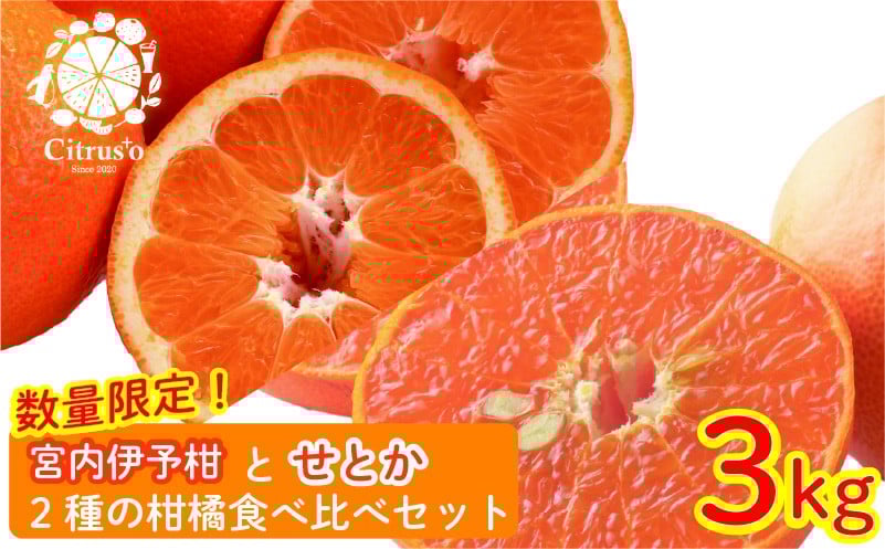 
            【2026年2月上旬から発送】宮内伊予柑とせとか 2種の柑橘食べ比べセット 3kg | せとか セトカ みかん 柑橘 みかん フルーツ みかん 食べ比べ ミカン みかん 蜜柑 柑橘 果物 くだもの フルーツ おすすめ 高級 伊予柑 イヨカン いよかん 柑橘の大トロ「せとか」 人気 お取り寄せ グルメ ギフト 期間限定 数量限定 愛媛県 松山市
          