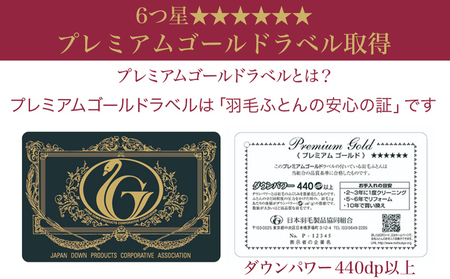 【柄ブルー】これだけあれば安心!超増量二層キルト羽毛掛布団95%プレミアムゴールドラベル1.5kg SL_AL-J201-gbl_(都城市) 寒い地域 寒がりさん 綿100%80サテン しなやかさ 柔