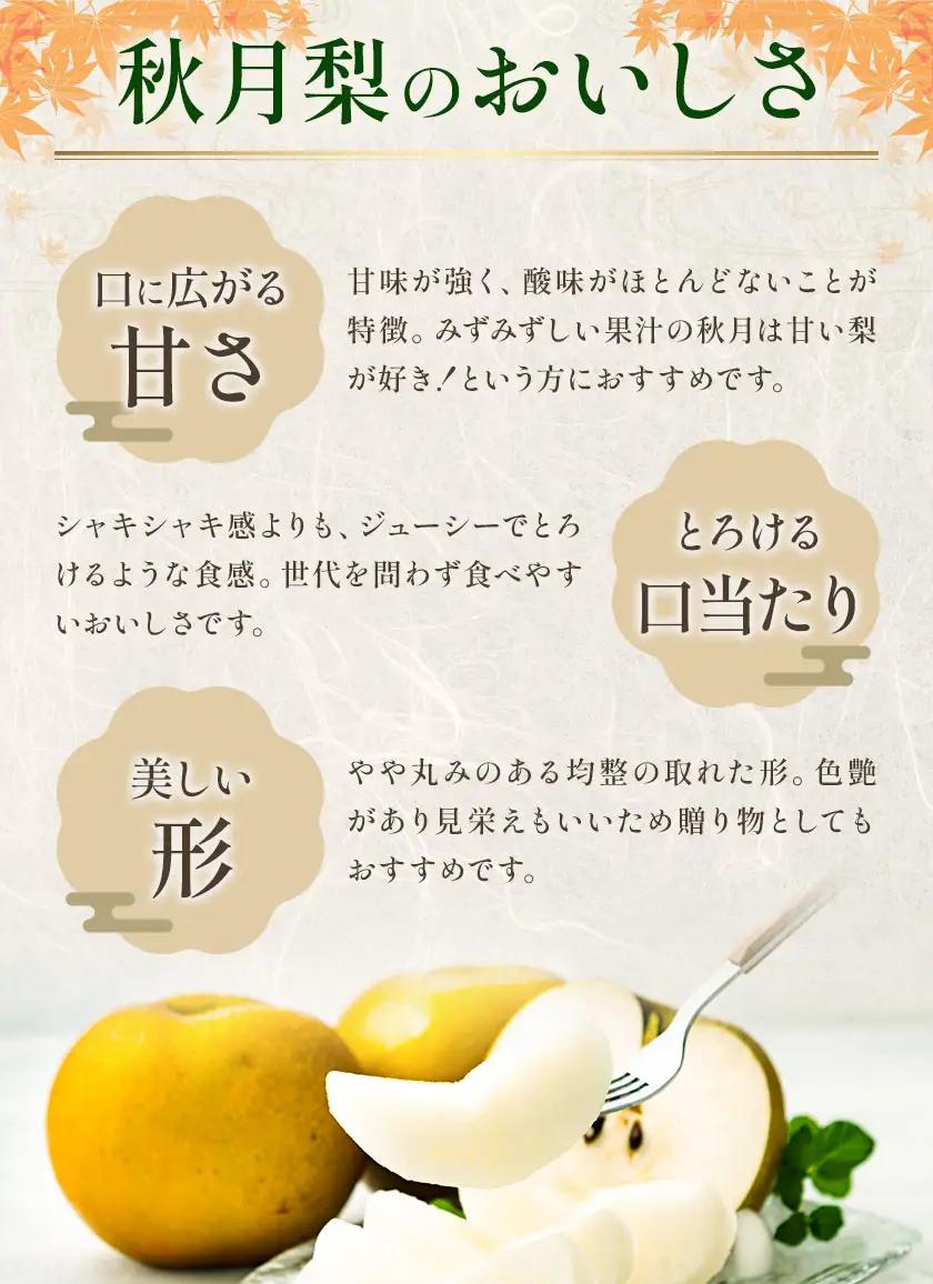 秋月梨 3㎏ 日本フルーツ株式会社 梨