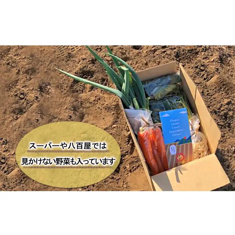 2～4名様向け／旬の野菜7種セット 野菜セット 野菜詰合せ 産地直送 農園直送 食べ物 食品 グルメ 食卓 ベジタブル 国産 日本産 国産野菜 