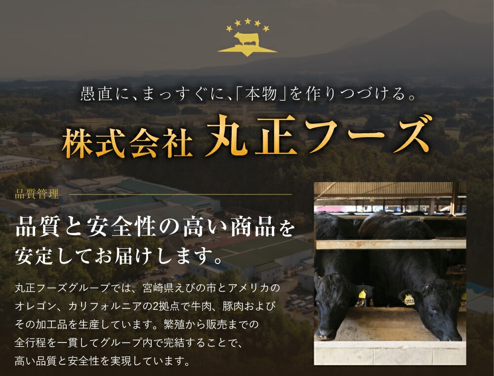 宮崎県産 黒牛 焼肉 赤身 牛肉 焼肉セット 肩ロース モモ 2点盛り 560g(280g × 2パック)焼肉用 肉 お肉 牛 国産牛 食べ比べ セット 小分け 真空パック コスパ 冷凍 贈答 贈答用