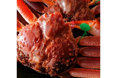 【創業明治元年　間人 炭平旅館の味】はしうど蟹　1000g級　茹で蟹　上1杯　[料亭捌き済]【2025年発送】