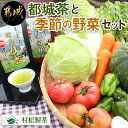 【ふるさと納税】都城茶と都城産季節の野菜セット - 都城茶 サツマイモ(べにはるか) ニンニク じゃがいも 季節の野菜 産地直送 粉末煎茶 ホット/アイス 葉物野菜 根菜 旬 詰め合わせセット おうち時間 送料無料 AA-3701【宮崎県都城市は2年連続ふるさと納税日本一！】