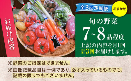 【全3回定期便】【数量限定】旬の 野菜 セット (約3㎏/野菜7-8品程度) / 野菜 新鮮 旬 詰合せ セット 熊本県 菊陽町 特産品 【有限会社さんふれあ】[BHAK024]