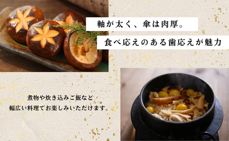 大分県産 しいたけ 津久見で育てた肉厚乾燥しいたけ 80g×3袋