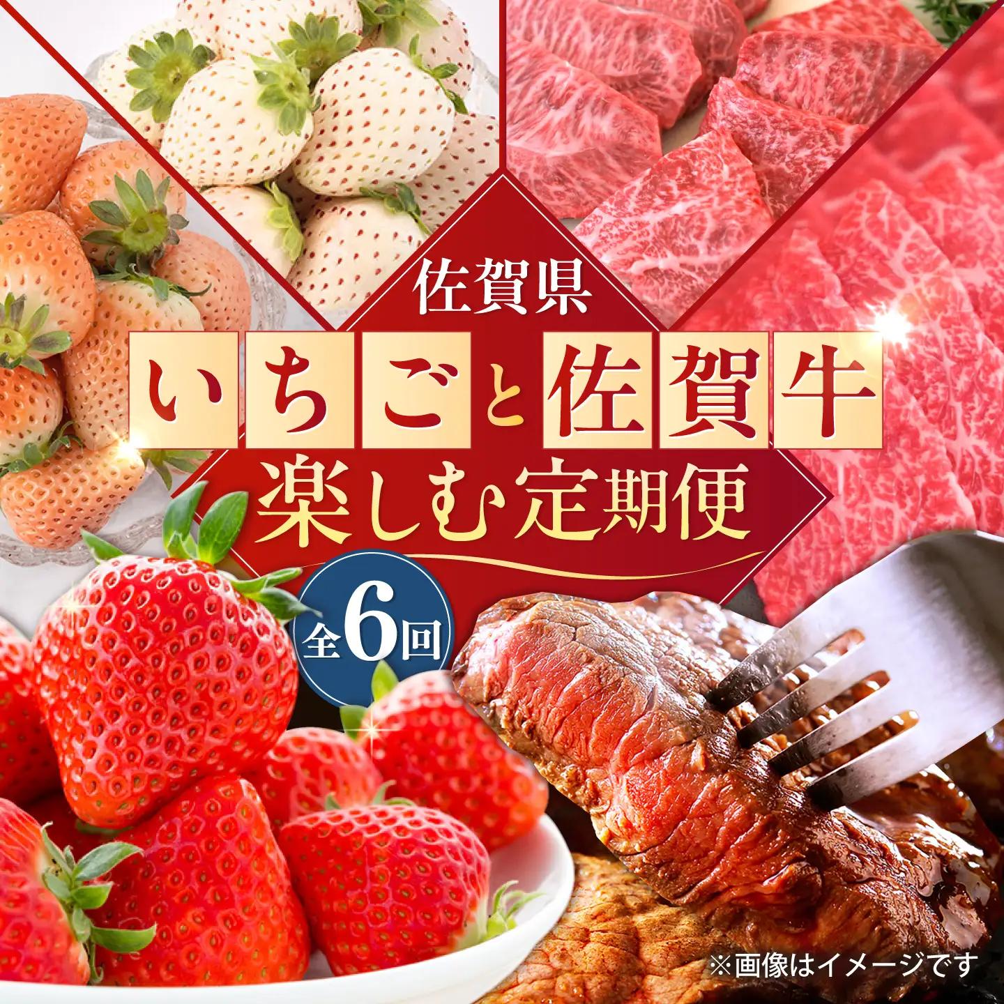 【2027年2月以降順次発送】【全6回定期便】生産者応援 いちごと佐賀牛を楽しむ定期便 / いちご 苺 牛肉 / 佐賀県ふるさと納税 [41AAZZ009]