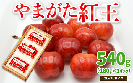 やまがた紅王 約540g 2～3Lサイズ (180g×3パック) 【令和8年産先行予約】FS25-020