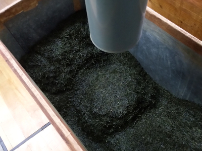 9-7 生粋川根茶澤本園 ふるさとありがとう27