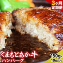 【ふるさと納税】【3ヶ月定期便】【希少和牛】ハンバーグ 熊本県産 あか牛ハンバーグ 150g × 10個 南阿蘇食品 《お申込み月の翌月より発送開始》 定期 計3回お届け 熊本県 南阿蘇村 送料無料 牛肉 あか牛 肉 定期便