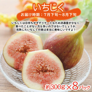 SE0207　【3回定期便】農家直送 こだわりのフルーツ定期便2024 (いちご、庄内メロン、いちじく)