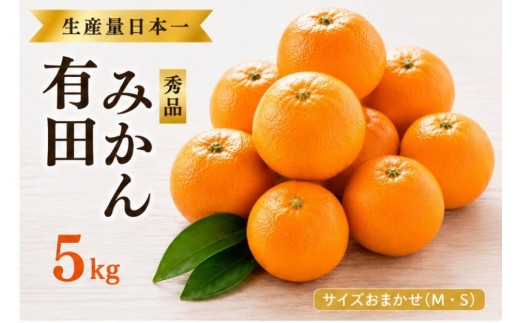 
                  紀州 有田みかん 秀品 5kg サイズおまかせ(Ｌ・М・Ｓ)【sml004-r-5B】
                
