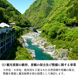 【 返礼品なし 500,000円 寄附 】 徳島県 三好市 への 寄附 応援寄附金