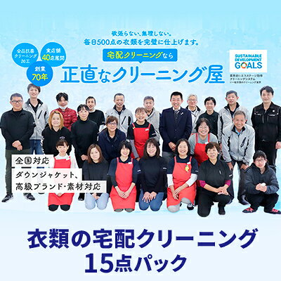 【ふるさと納税】【1年間有効】衣類の宅配クリーニング 保管無料 15点パック 抗菌クリーニング加工 直送 宅配クリーニングサービス 浜松市 静岡県浜松市