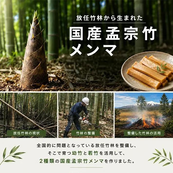 遊佐産メンマセット 板メンマ 山形玉コン味 300g×3袋 鳥海遊佐メンマ 煮干しラーメン味 150g×3袋 計6袋 山形県遊佐産 おつまみ おかず 醤油ラーメン トッピング 極太メンマ 若竹メンマ 
