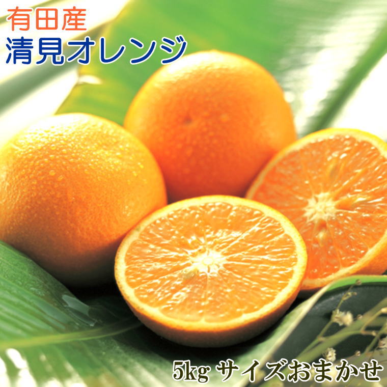 【ふるさと納税】 【産直】有田産清見オレンジ約5kg（サイズおまかせ・秀品）＜2027年3月上旬〜3月下旬頃に順次発送＞(お届け日指定不可)
