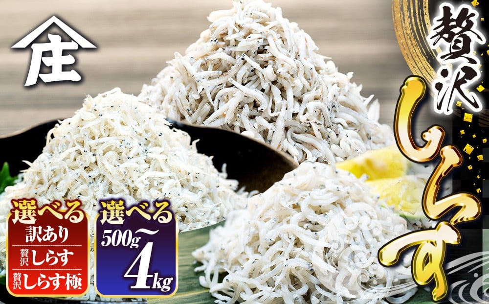 
                  訳あり しらす 500g ～ 4kg  冷凍 減塩 釜揚げ ごはん 丼 パスタ チャーハン サラダ 魚 料理 愛知県 南知多町 師崎 シラス しらす ちりめん じゃこ かちり 小魚 魚貝 魚貝類 シラス 海鮮 シラス丼 ふるさと納税 おすすめ 大人気 南知多産 愛知県産 わけあり シラス しらす しらすごはん shirasu sirasu SIRASU 人気シラス 冷凍シラス 訳あり品 ワケアリ
                