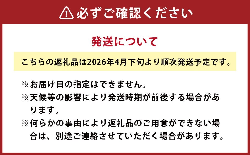 水俣 サラダ玉ねぎ 10kg 野菜 タマネギ サラダ 天ぷら 【2026年4月下旬〜5月下旬発送】