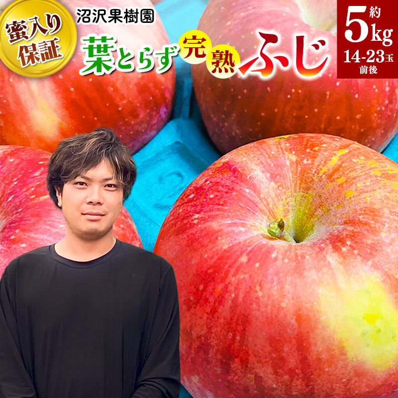11月下旬より発送 《蜜ライトで蜜入り保証！》葉とらず完熟ふじ 約5kg りんご
