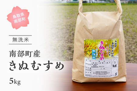 ＜令和7年産＞鳥取県南部町産「無洗米きぬむすめ」5kg 板谷米穀店