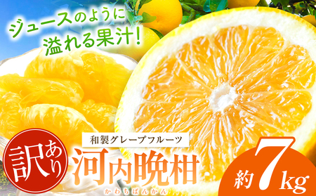 訳あり 河内晩柑 約7kg 後藤農園