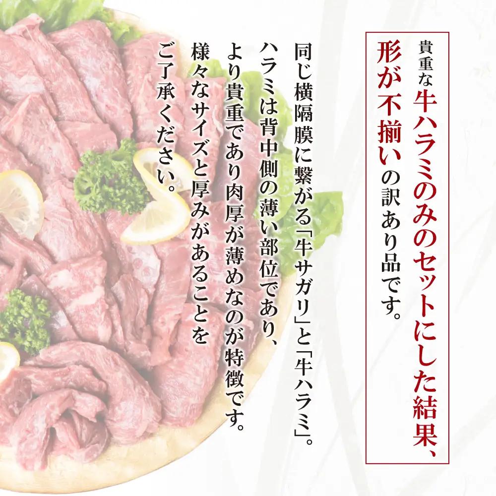 Z61-45 【訳あり】牛ハラミ肉2種(旨辛ダレ、ねぎ塩) 600g 牛肉