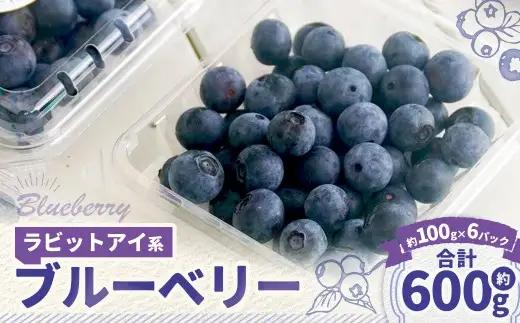 ラビットアイ系 ブルーベリー 約100g × 6パック 合計約600g くだもの 果物 フルーツ 果実 果汁 果肉 新鮮 国産 岡山県産 旬 ジャム プレゼント ギフト 贈り物 贈答品 贈答 【 2026年7月上旬～8月上旬発送予定 】