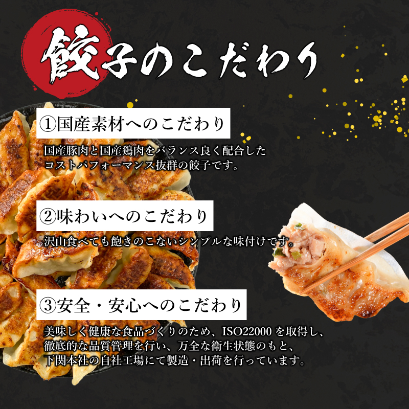 訳あり 国産肉の得々餃子 3回 毎月 定期便 240個 20個×12パック 冷凍 国産肉の得々餃子【毎月発送】240個× 3回