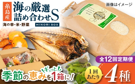 【全12回定期便】糸島産 魚 米 野菜 果物 厳選詰め合わせ MINORI BOX Sサイズ 糸島市 / emma.Inc / 米 魚 野菜 詰め合わせ [AOP022]