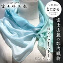 【ふるさと納税】 富士桜工房コンパクトストール「とにかる」ミント とにかく軽い！（スカーフ） FAA4003