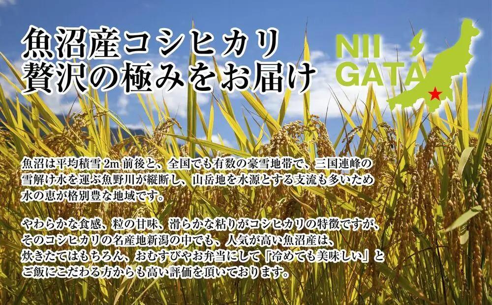 DH14 【定期便】 新潟県 魚沼産 コシヒカリ お米  10kg×計12回 精米済み 1年間 毎月発送 こしひかり（お米の美味しい炊き方ガイド付き）