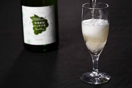 《山形県産ぶどう100％》やまがた シャルドネ スパークリング ワイン 白（750ml×2本）　020-E-CK017