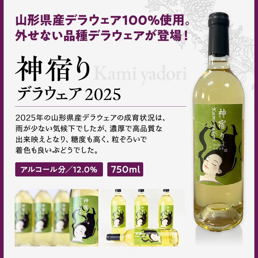紀乃國わいん工房 神宿り デラウェア 2025 750ml