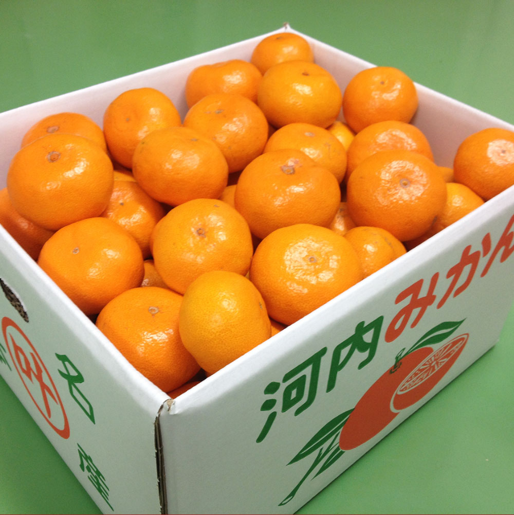 【ふるさと納税】＜選べる容量＞ 叶果樹園みかん 家庭用 約4kg（S～Lサイズ混合40～60個） または 約9kg（S～Lサイズ混合80～100個） みかん ミカン フルーツ 果物 くだもの 家庭用 サイズ混合 常温 国産 熊本県 熊本市 送料無料 【2025年10月下旬～12月上旬迄順次発送予定】