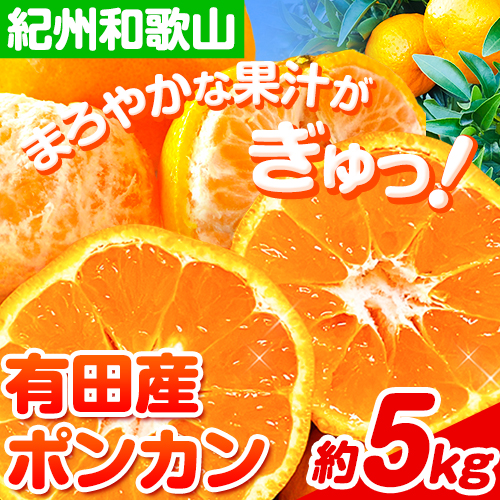 【先行予約】紀州和歌山有田産ポンカン5kg 魚鶴商店《2026年2月上旬～3月中旬頃出荷予定》和歌山県 日高町 ぽんかん フルーツ 柑橘