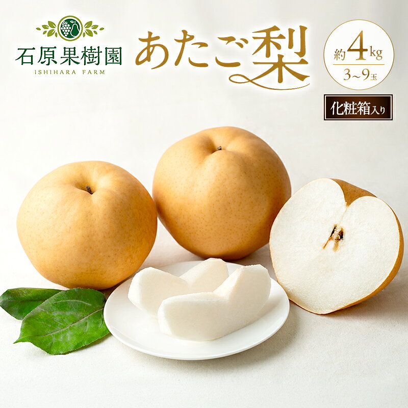 【ふるさと納税】梨 2026年 先行予約 あたご梨 3～9玉 合計約4kg 化粧箱 岡山県産 国産 フルーツ 果物 愛宕梨 なし ナシ 石原果樹園 里庄町 ギフト 石原果樹園 　お届け：2026年11月15日～2026年12月20日