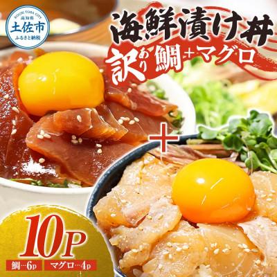 ふるさと納税 土佐市 【訳あり】海鮮漬け丼(タイ6袋・マグロ4袋)セット