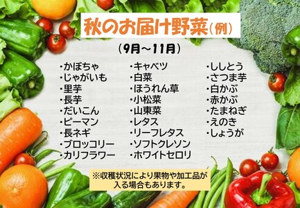 【 9ヶ月 定期便 】  野菜セット 7品 季節 旬 野菜 詰め合せ 定期 国産 季節 旬 おまかせ 産地直送 春野菜 夏野菜 秋野菜 きのこ 葉物 果物 果菜 根菜 冷蔵 野菜室 ダイエット 食 栄