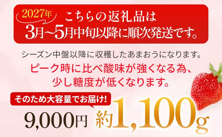 いちご あまおう 約1100g （約275g×4パック） 【先行受付／2027年3月～5月中旬順次発送予定】