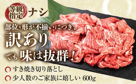 訳あり 飛騨牛 すき焼き用 切落し 600g 訳あり [S544]