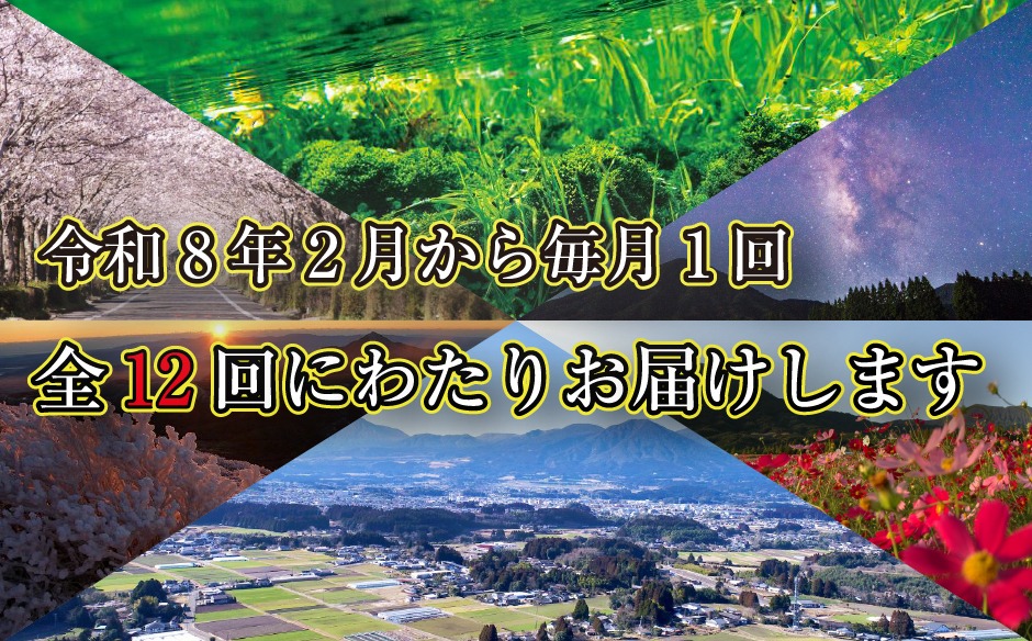 【定期便・全12回】新春おたのしみ お年玉コース 金金（牛肉 豚肉 鶏肉 フルーツ 2026 スイーツ 先行予約 定期便 宮崎 小林市）