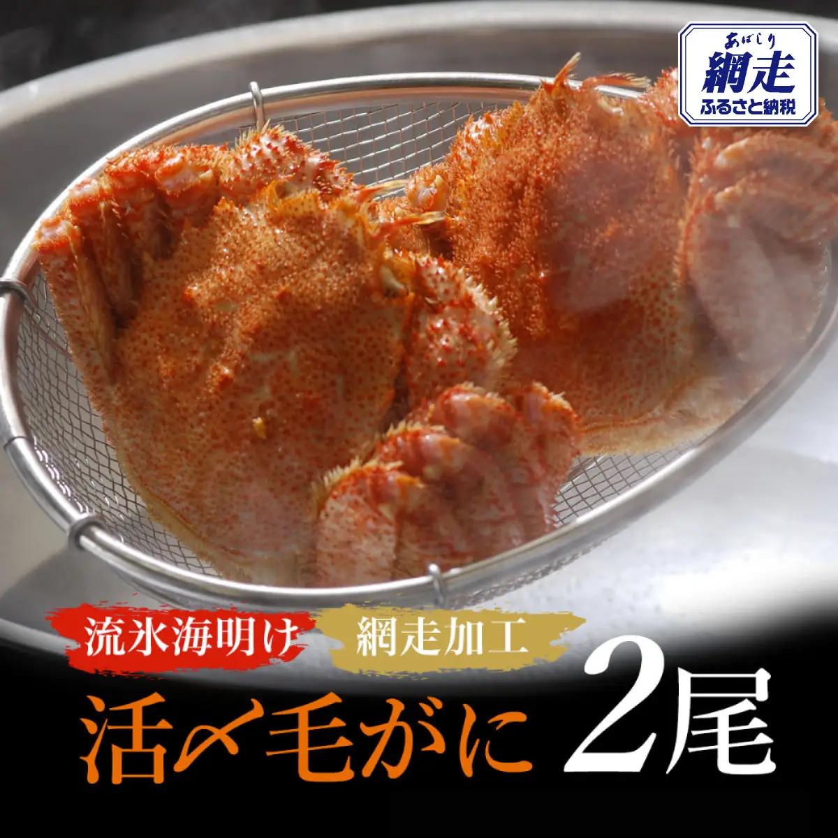 【先行予約】流氷海明け活〆毛がに2尾（冷蔵便）【2027年4月～順次発送開始予定】（網走加工）） ABAO2129 | 毛がに