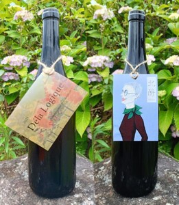 Agri Coeurの醸しワインセット　0160-2505