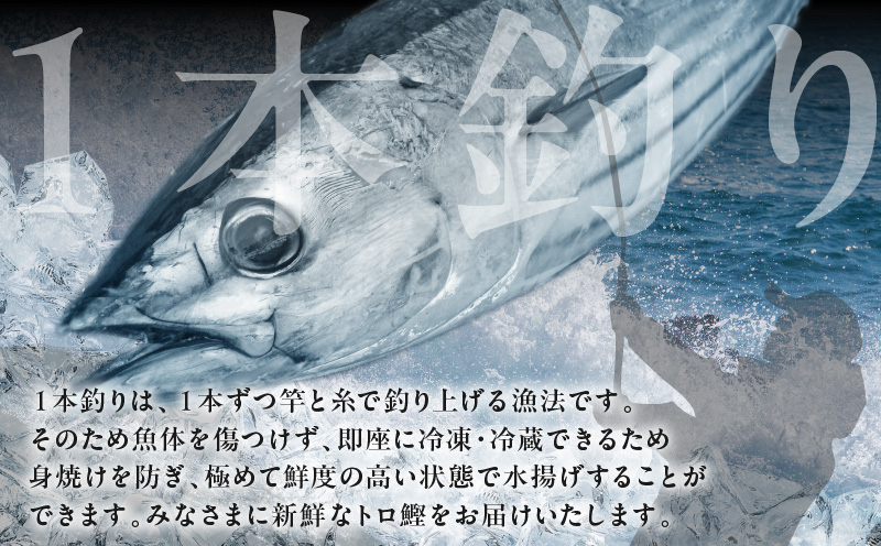 トロ鰹たたき 1.2kg 備長炭仕上げ