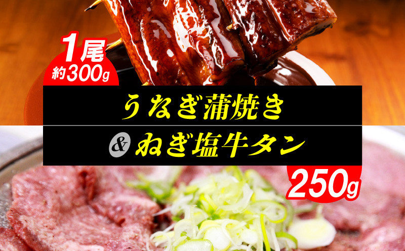 
うなぎ蒲焼き1尾（約300ｇ）& ねぎ塩牛タン（250ｇ）のセット　KP6205
