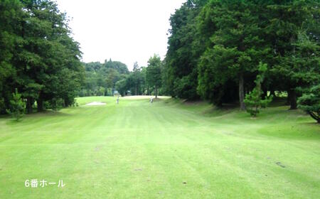 ゴルフ場利用券 白井ゴルフ林間ショートコース 平日2回プレー券 1名様分 白井市 ゴルフ場 お一人様でも回れるゴルフ場 おすすめ 体験 千葉 初心者歓迎 ショートコース ペアチケット 体験チケット