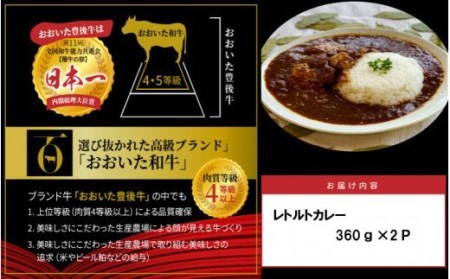 1725R_おおいた和牛の贅沢カレー 2パック