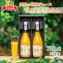 【ふるさと納税】 予約受付 愛媛 の 柑橘 ジュース 720ml 2本 セット 壱果樹園 みかん 温州みかん ストレートジュース 100% 果汁 飲料 オレンジジュース ギフト 贈答用 うんしゅうみかん 果物 フルーツ 蜜柑 国産 愛媛 宇和島 H012-141001