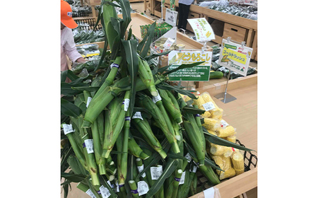 山形県 中山町産 とうもろこし（スイートコーン） 約4kg（9～12本） 【青柳農園】 トウモロコシ 野菜 やさい F4A-0408