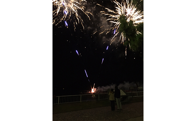 洞爺湖温泉 サプライズ 花火打ち上げ券 花火大会チケット チケット イベント